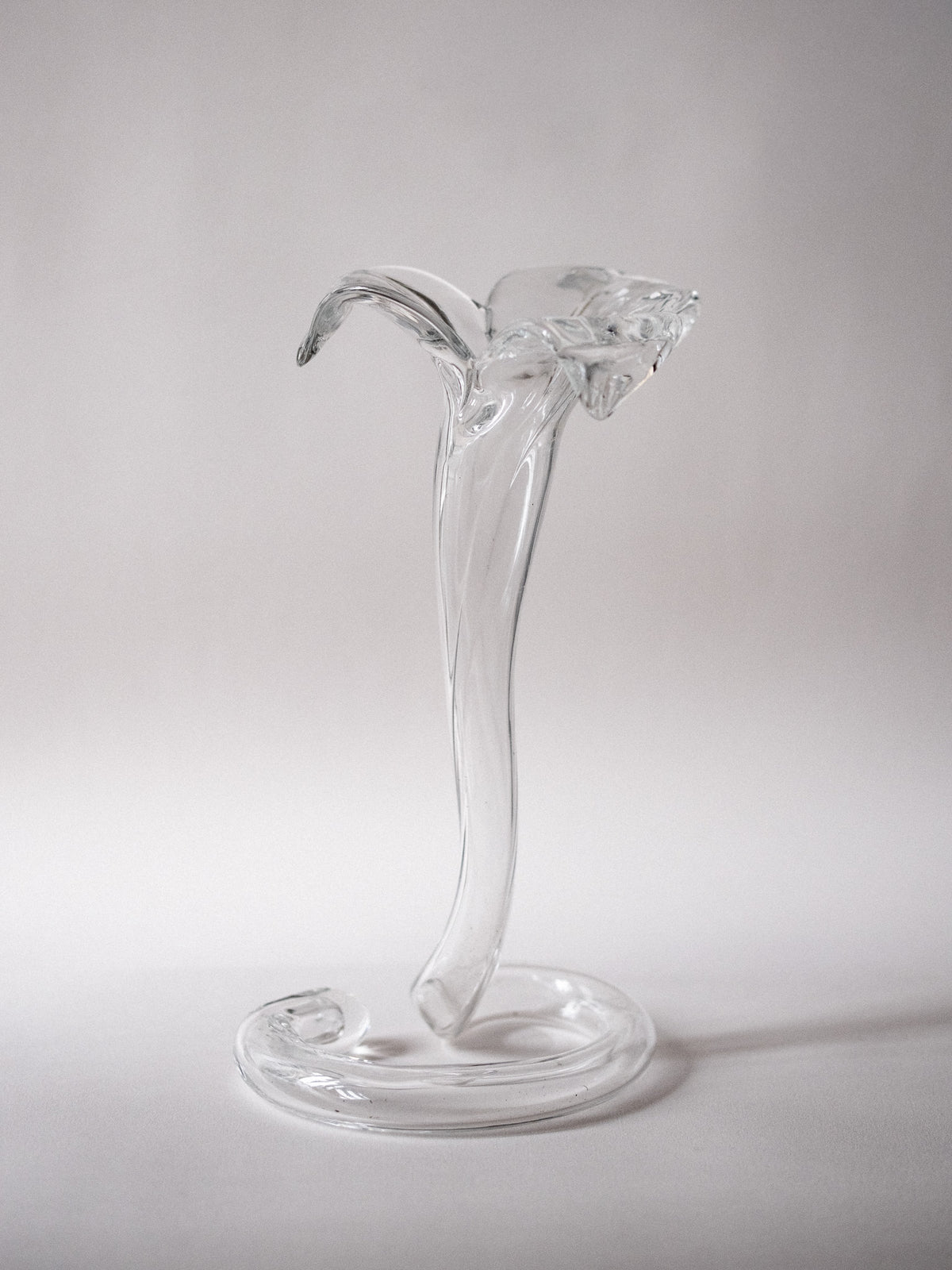 Glass Trumpet Tulip Vase - Connolly
