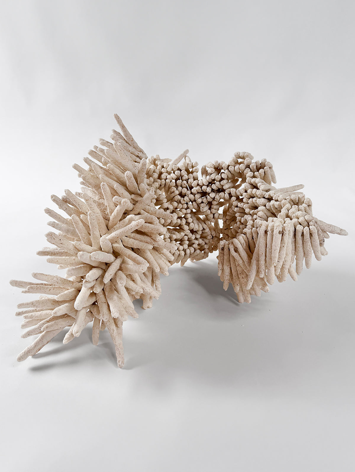 Koral Achi - Connolly