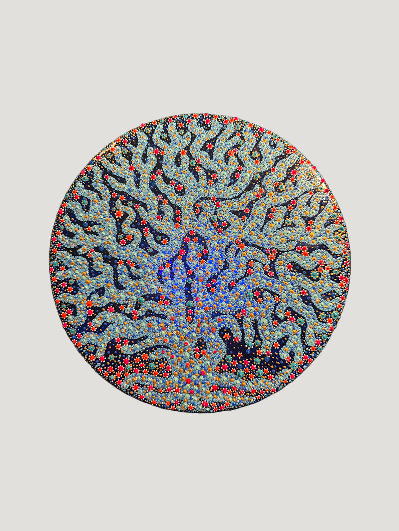 Blossoming Blue Coral Tree