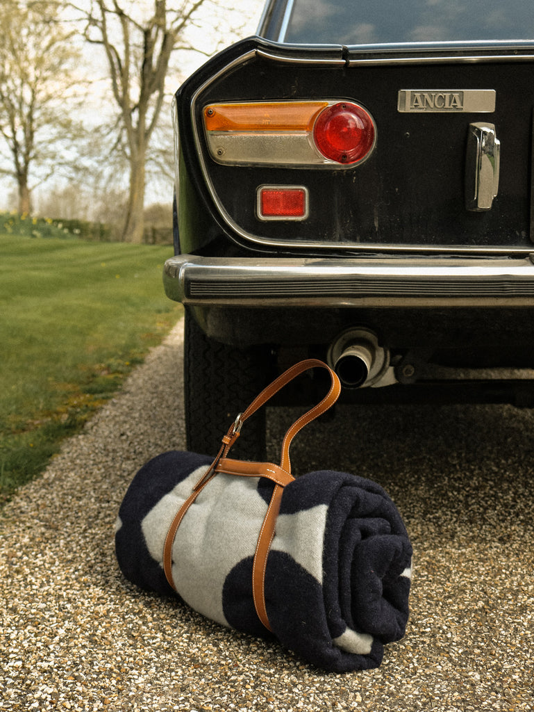 Picnic shop blanket holder