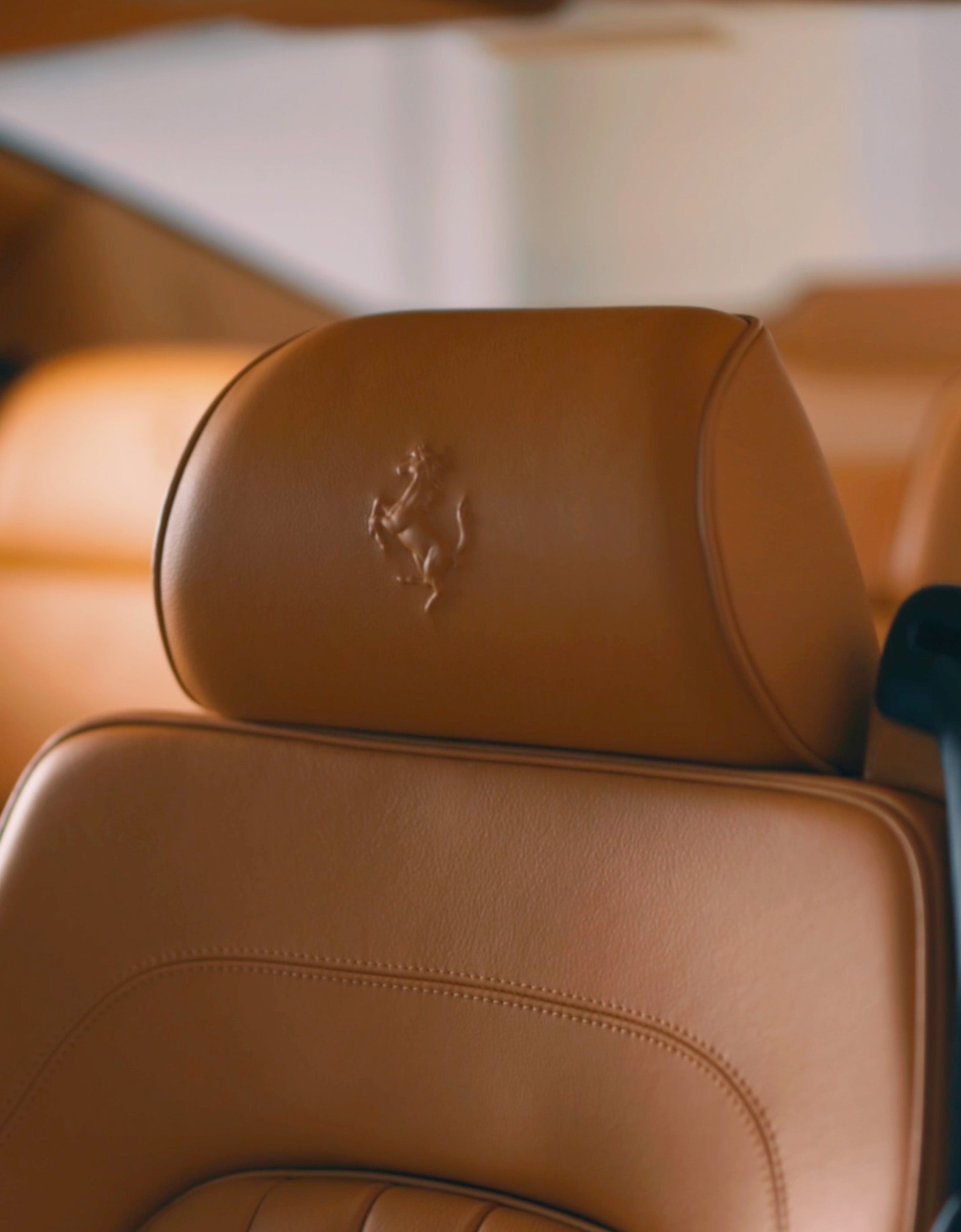 Celebrating Horsepower