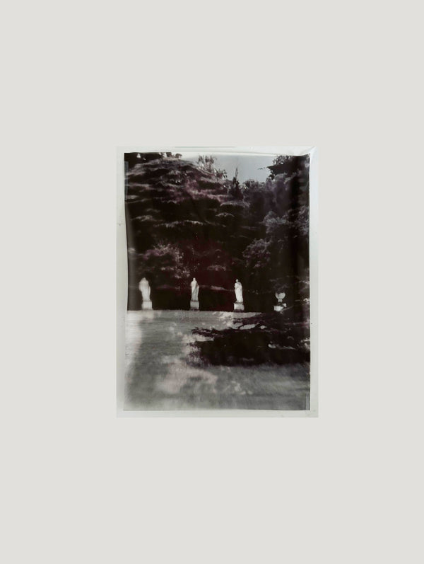 Elysium
