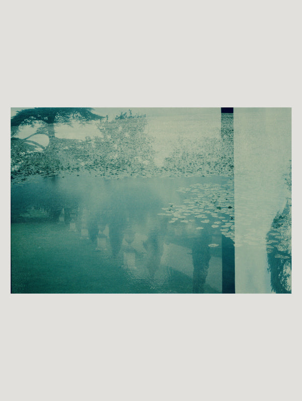 The Water Garden
