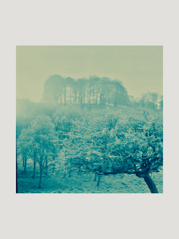 Blue Remembered Hills