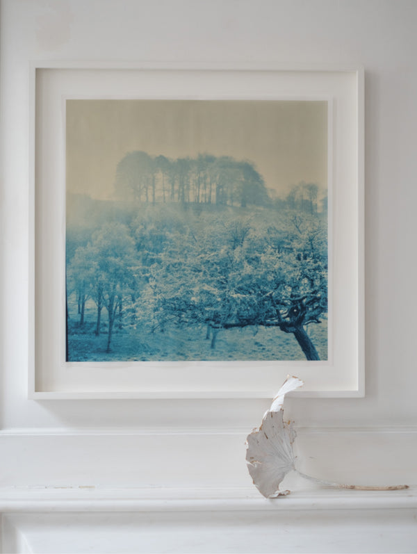 Blue Remembered Hills