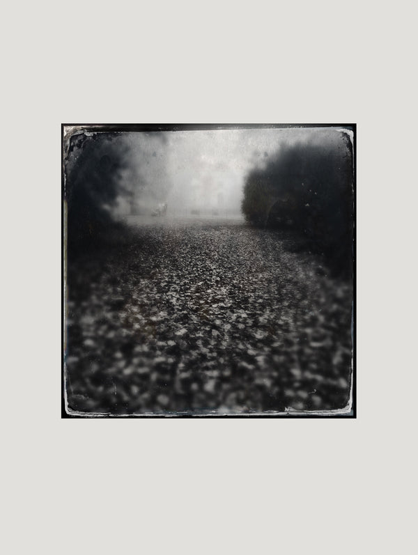 Mist