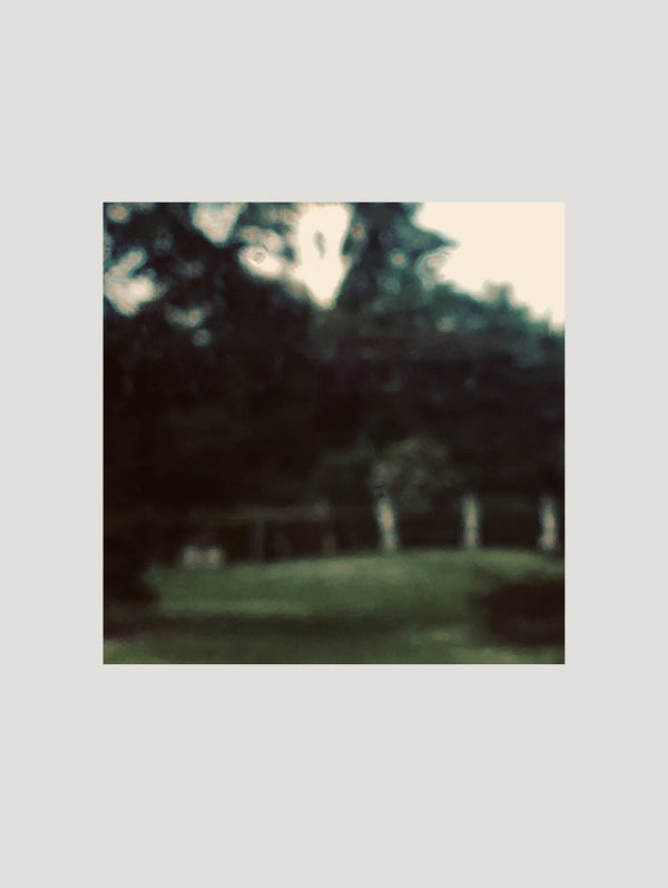 Capture