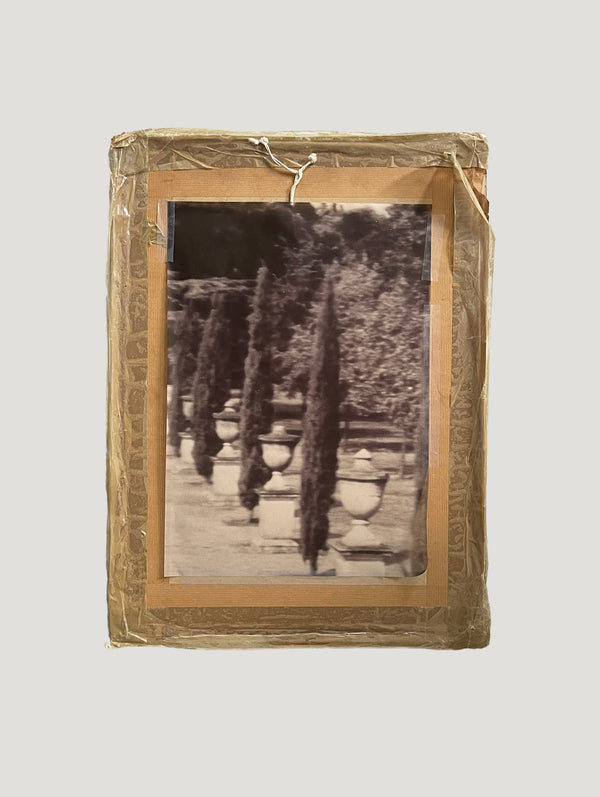 The Cyprus Walk 2