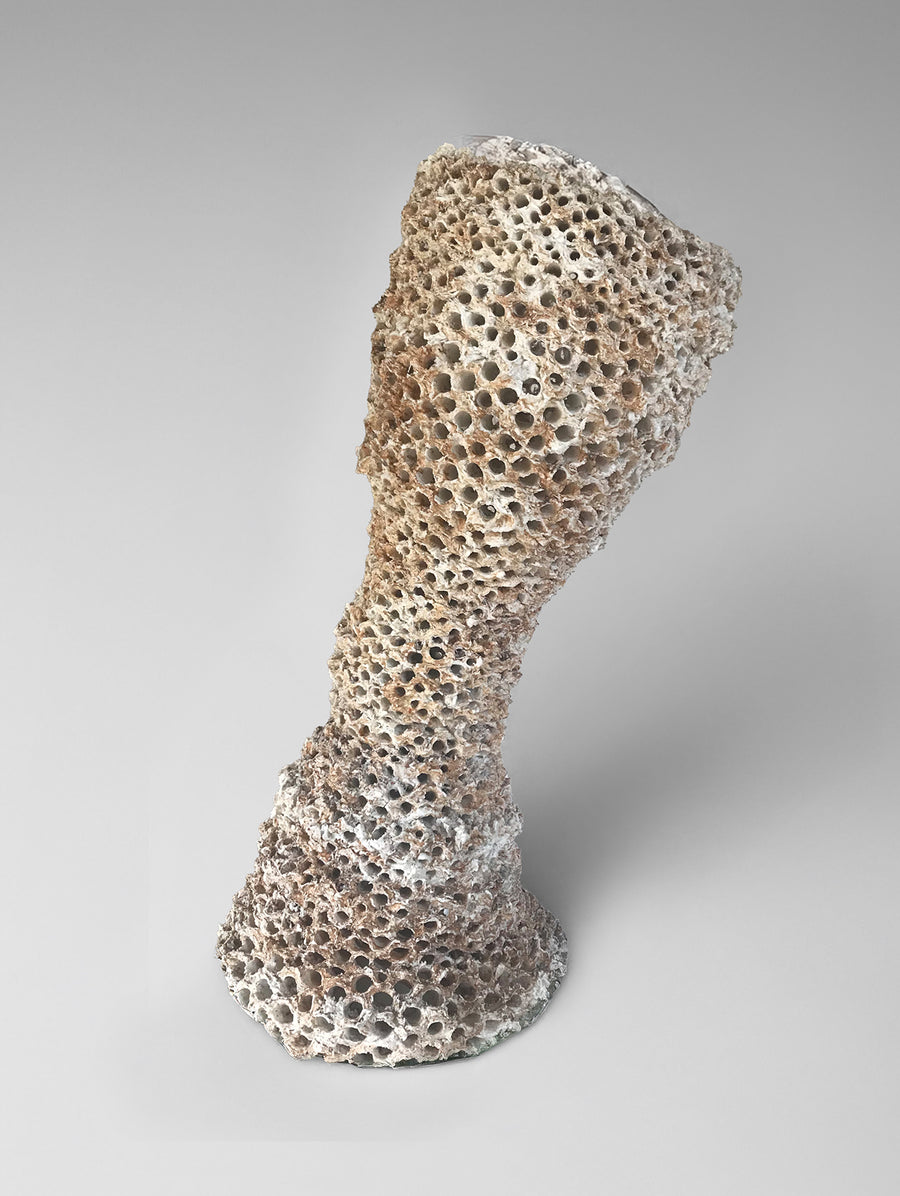 Amphoreas Coniq - Connolly