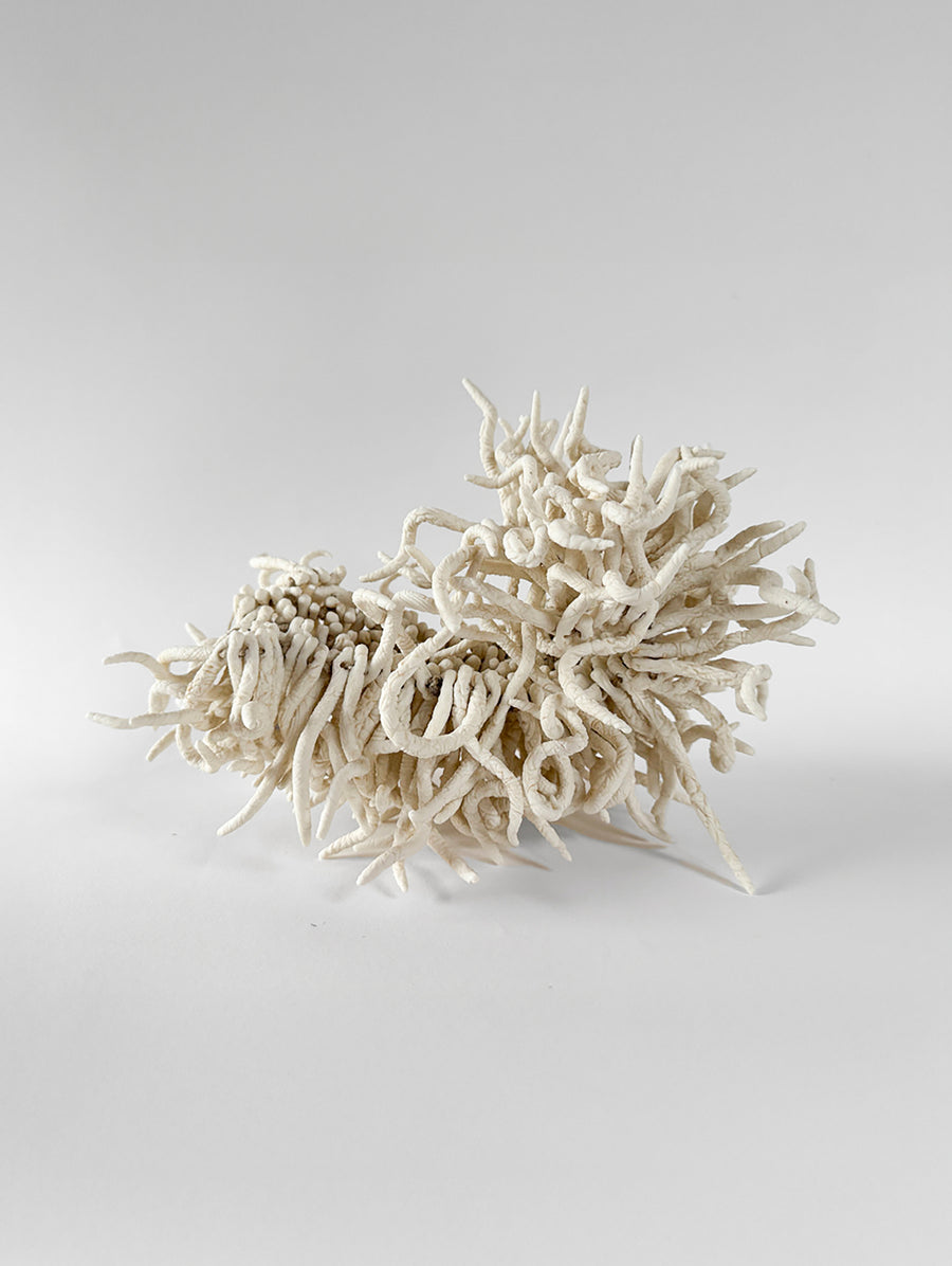 Bala Lepis - Connolly