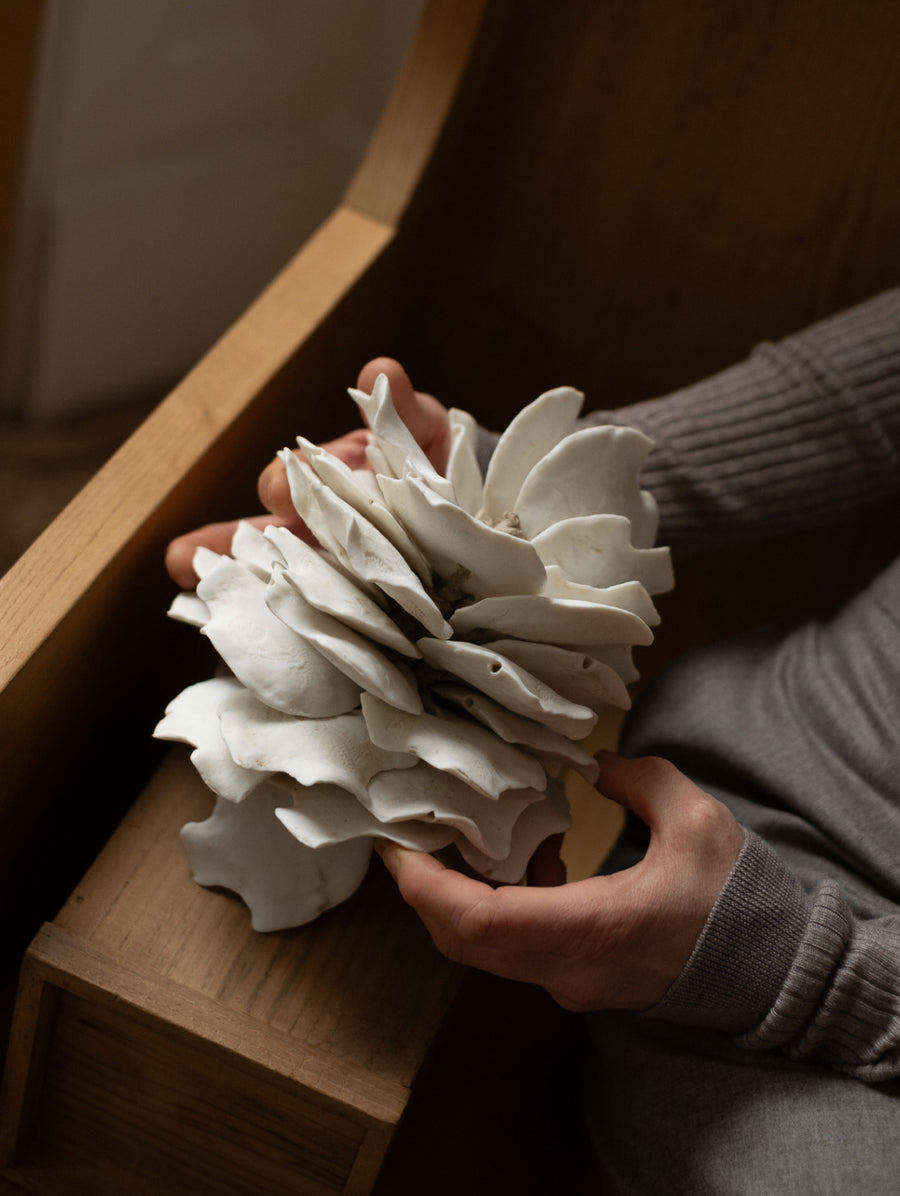 Sandt Anthos - Connolly