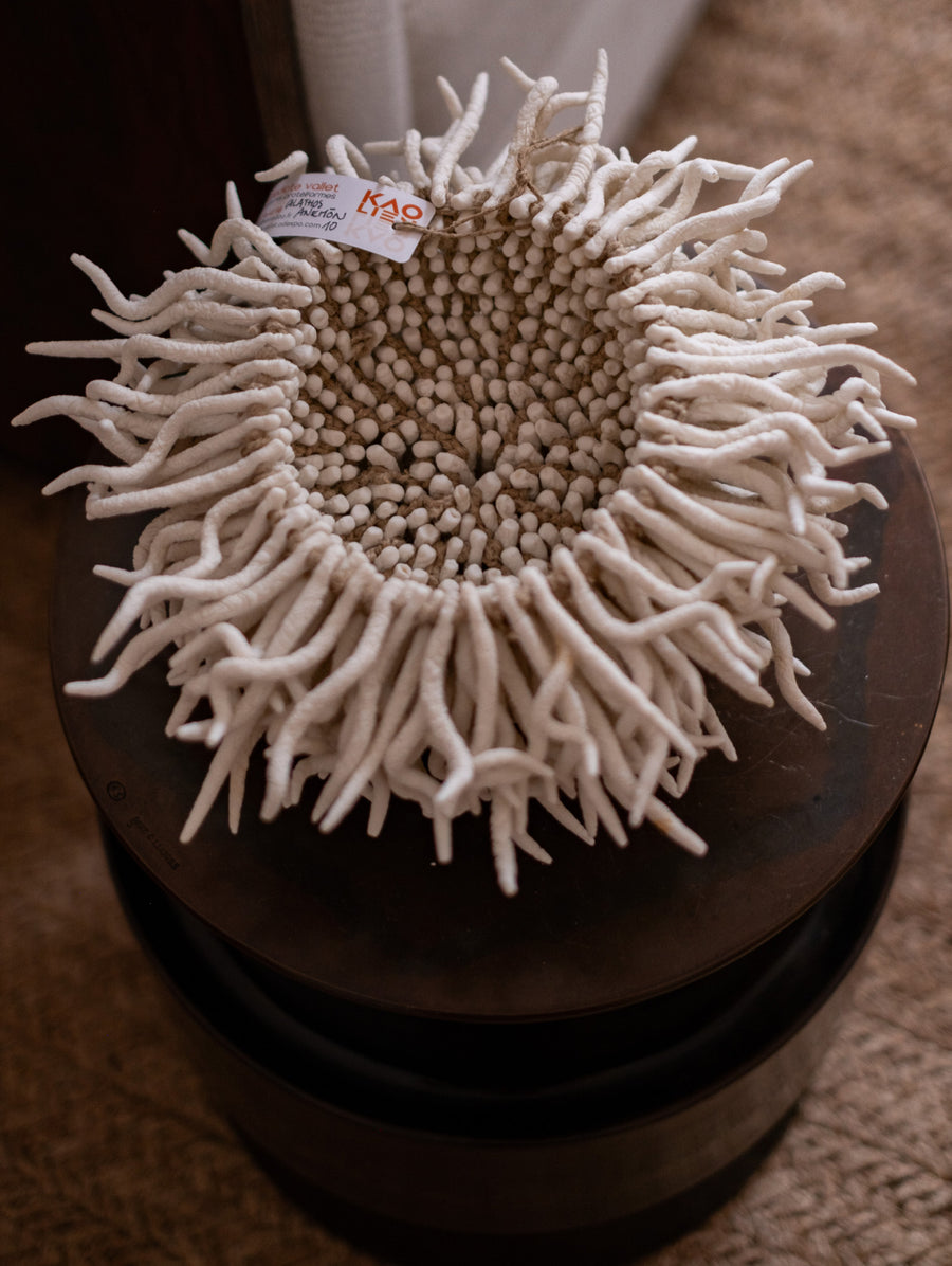 Calathos Anemon - Connolly