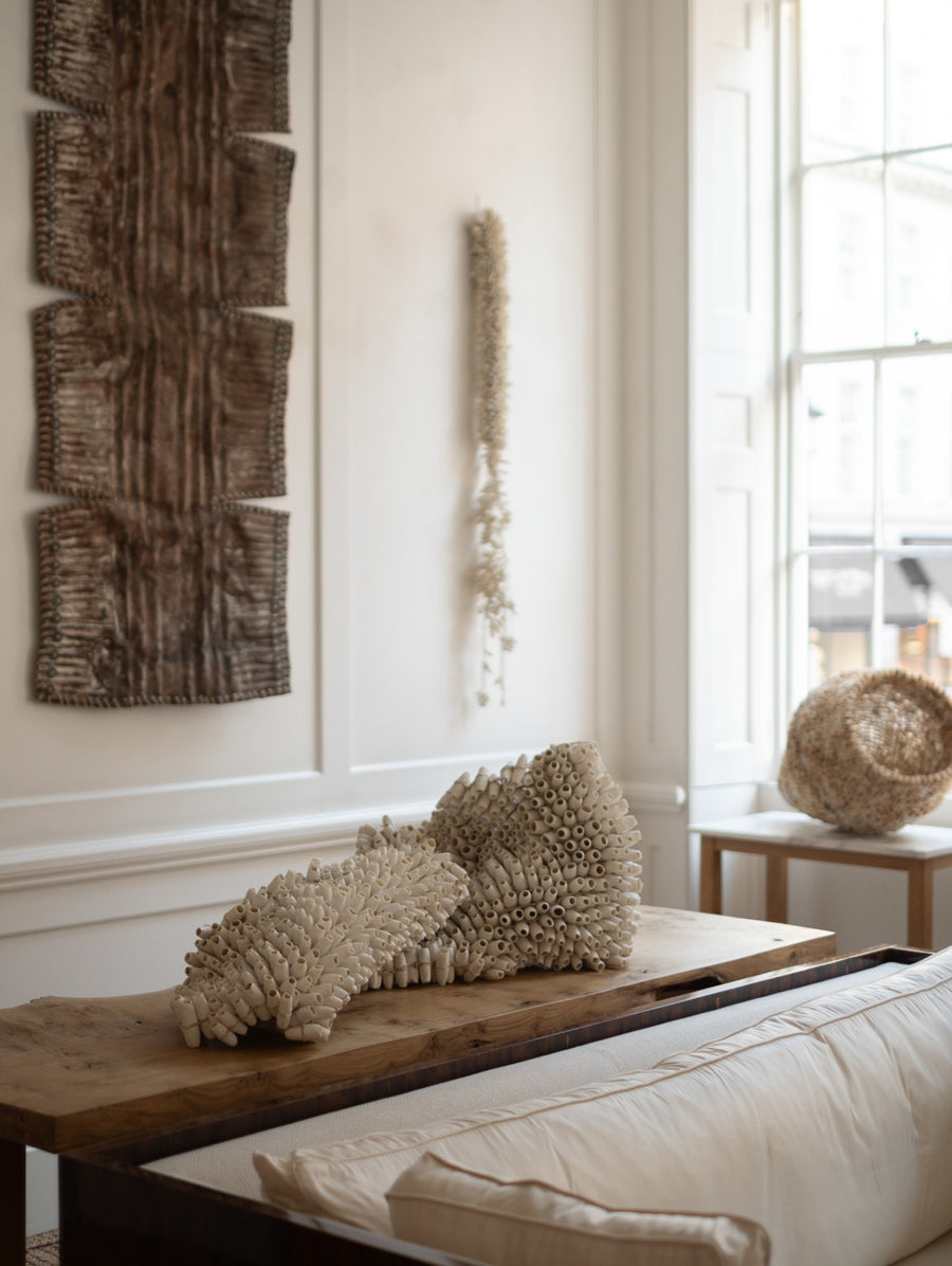 Octopus XXL - Connolly