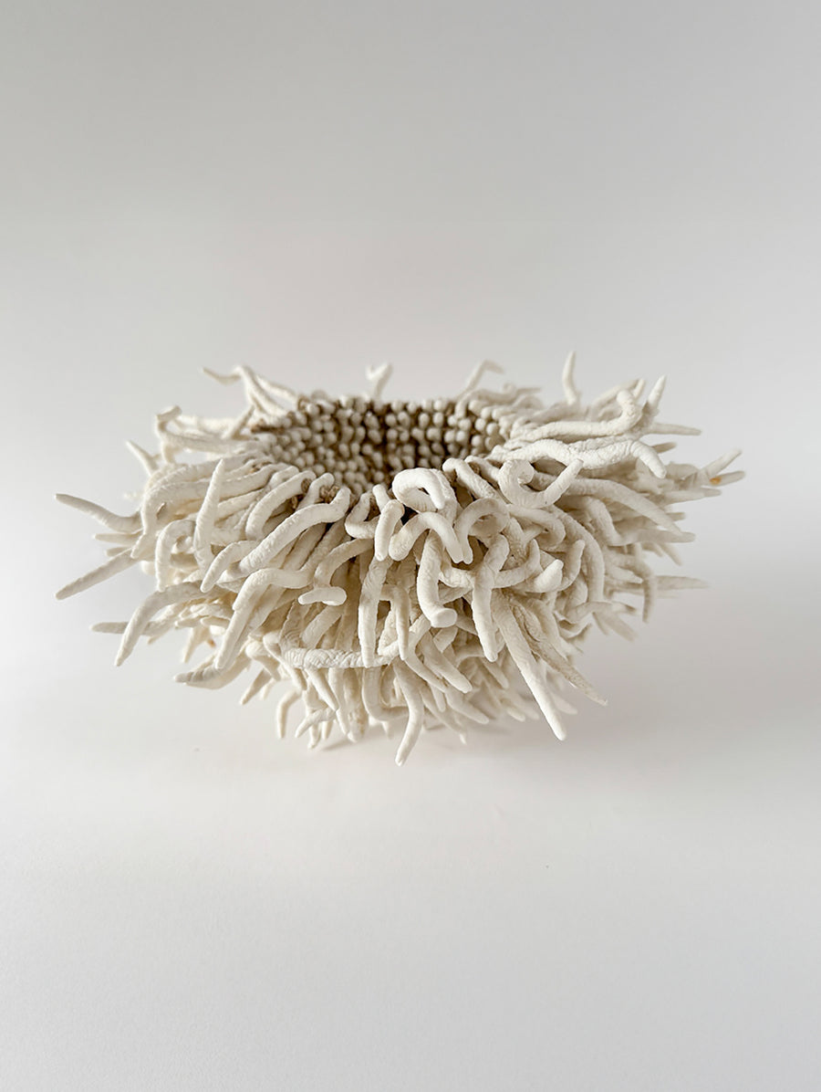 Calathos Anemon - Connolly