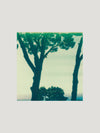 Capri 4 - Polaroid