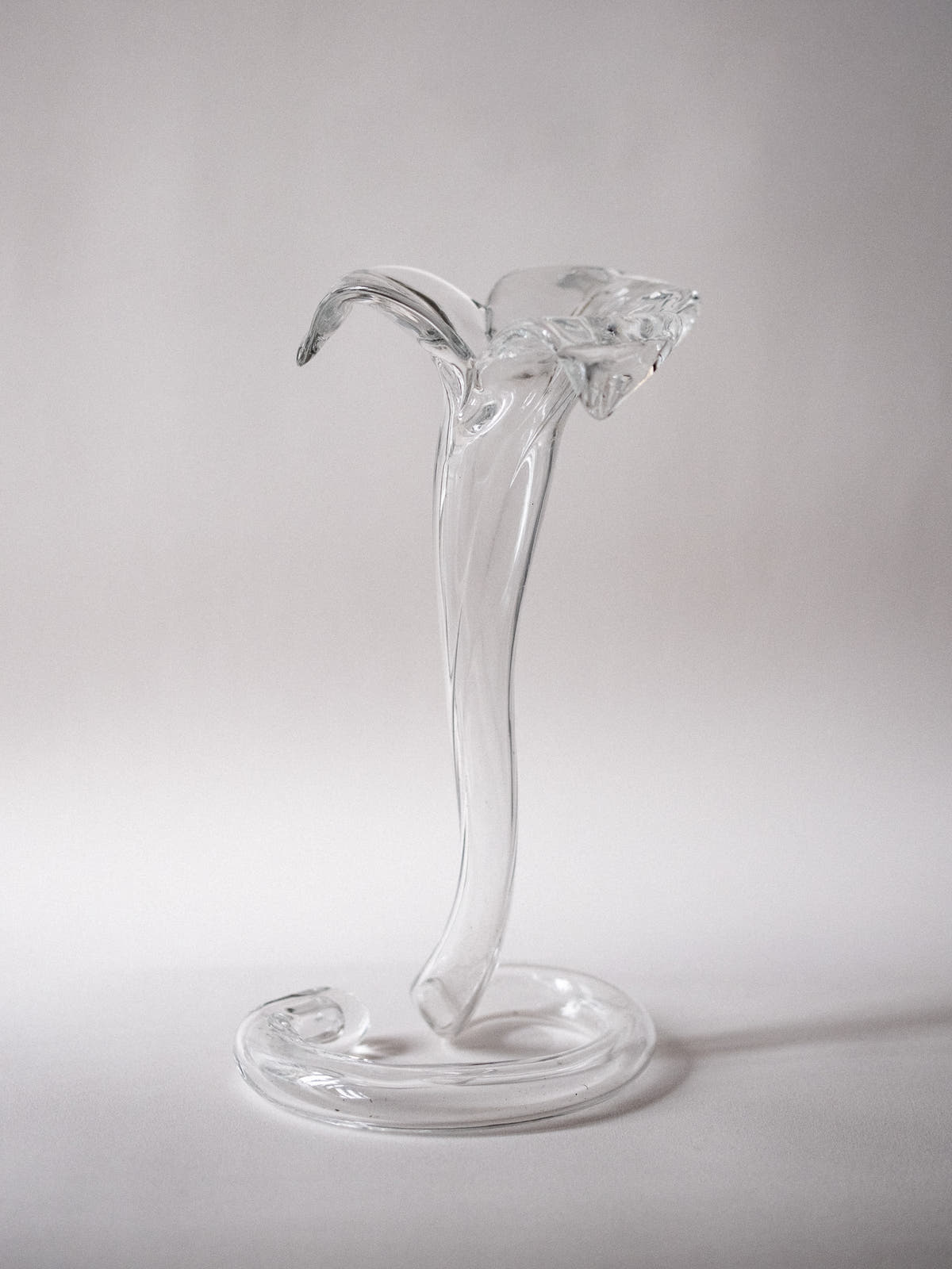 Glass Trumpet Tulip Vase - Connolly