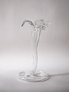Glass Trumpet Tulip Vase - Connolly