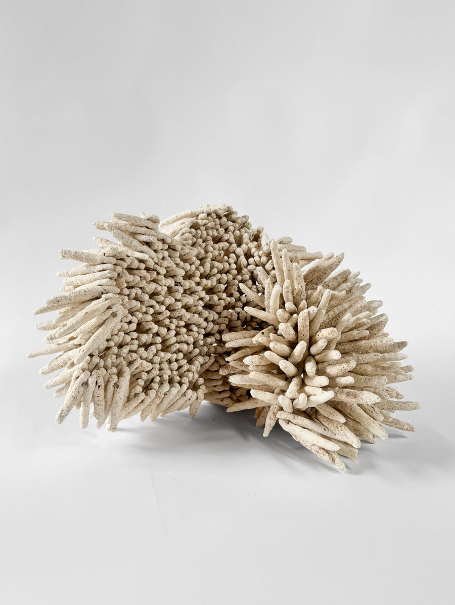 Korallion Achi - Connolly