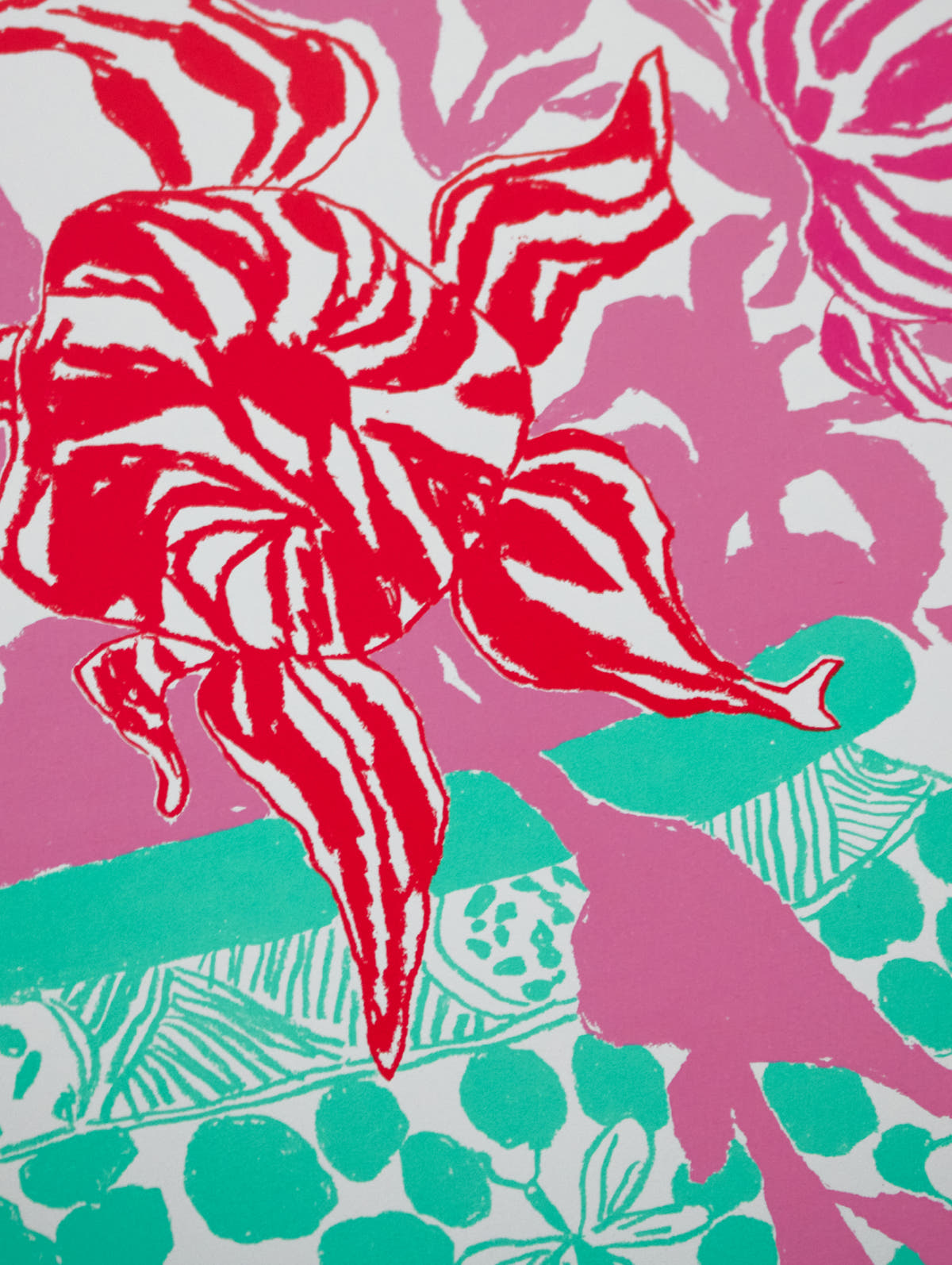 Turquoise Pink Cut Flowers - Connolly