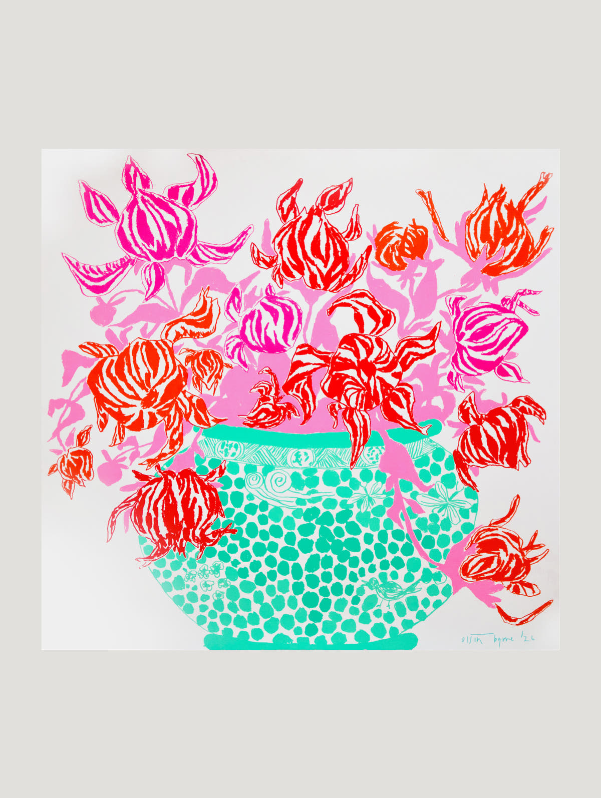 Turquoise Pink Cut Flowers - Connolly