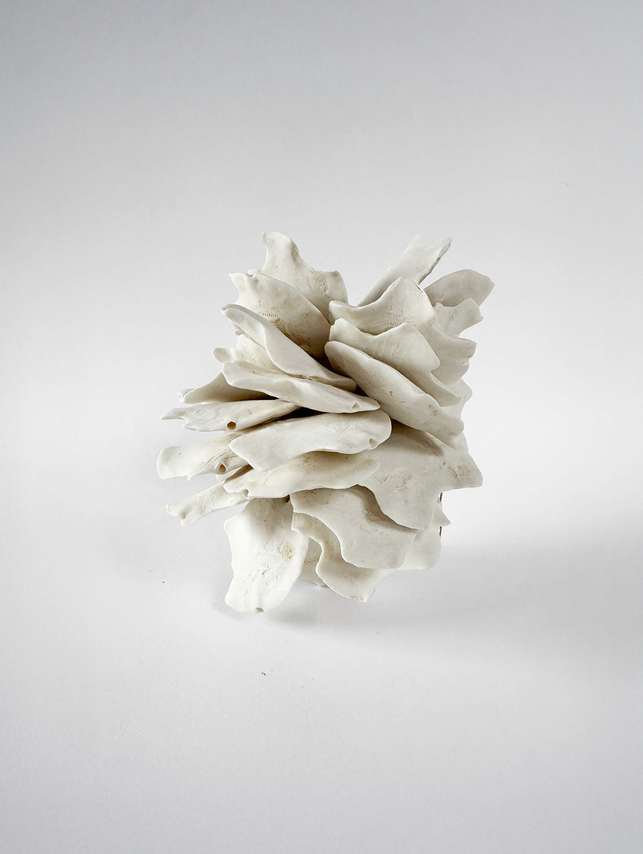 Sandt Anthos - Connolly