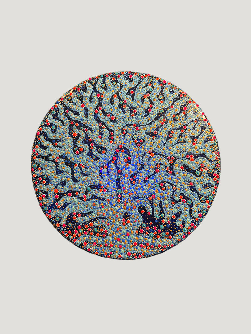 Blossoming Blue Coral Tree